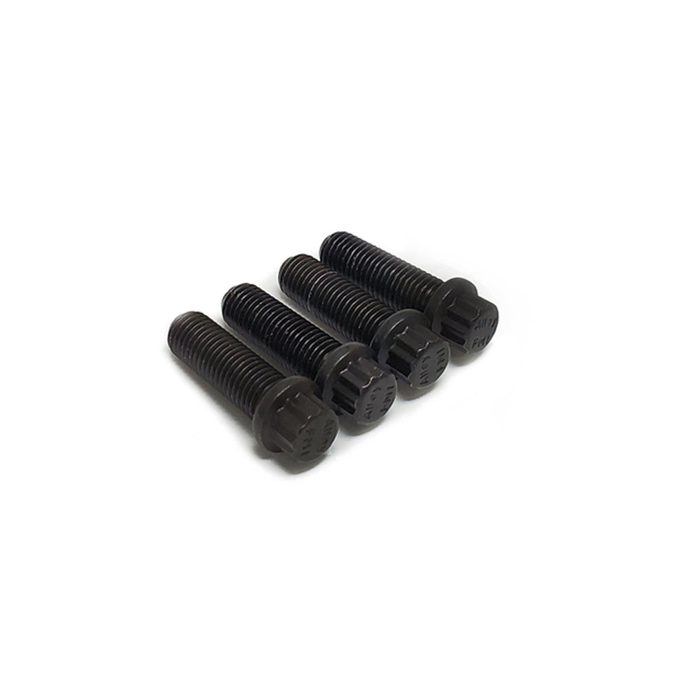 PRW - WATER PUMP PULLEY GIRDLE BOLT KIT - 1023509