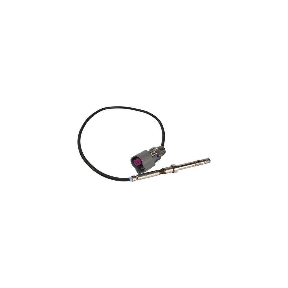 Exhaust Gas Temperature Sensor (EGTs/HTS)