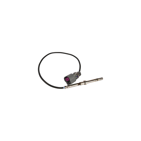Exhaust Gas Temperature Sensor (EGTs/HTS)