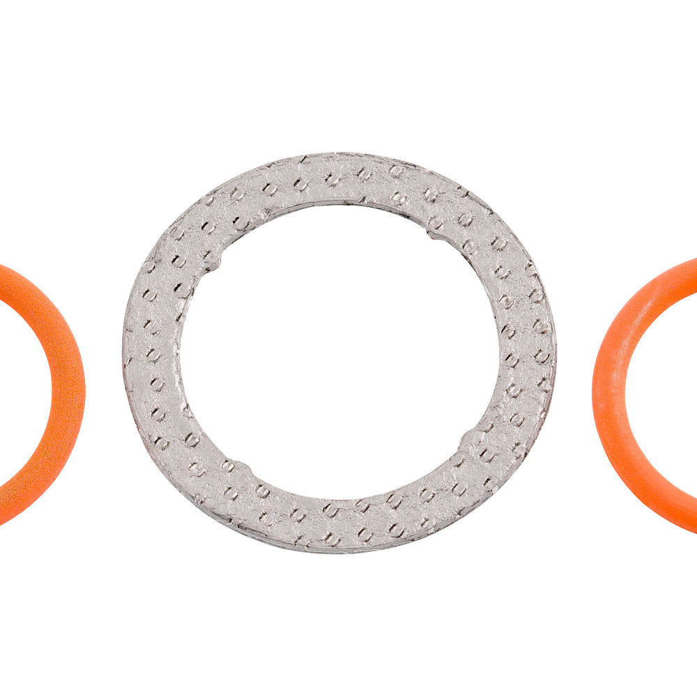 Exhaust Gas Recirculation (EGR) Valve O-ring Kit