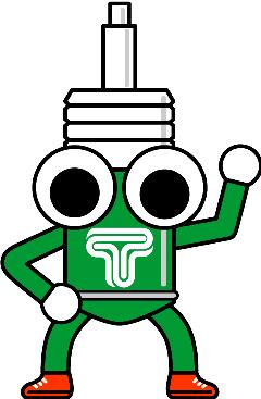Tein Beach Towel