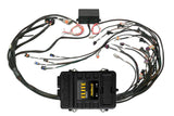 Elite 2500 GM GEN III LS1 non DBW Terminated Harness Kit EV1