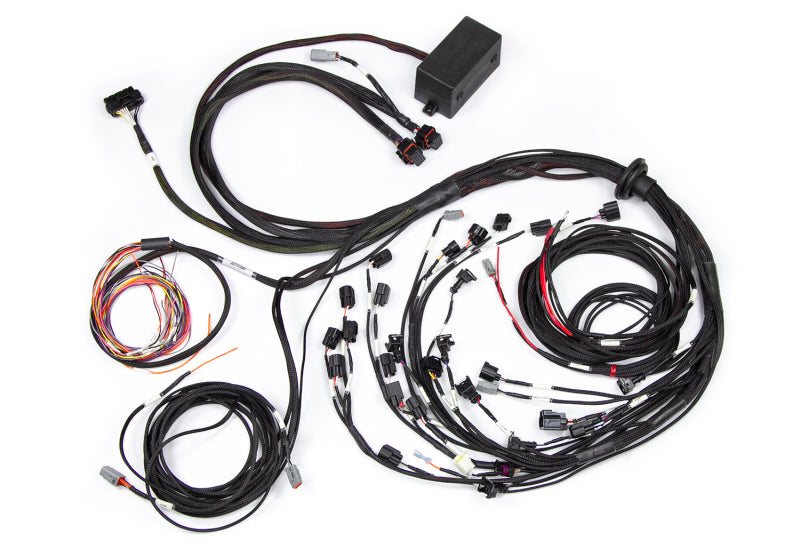 Elite 2500 Ford Falcon BA/BF Barra 4.0 Terminated Harness
