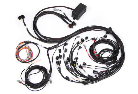 Elite 2500 Ford Falcon BA/BF Barra 4.0 Terminated Harness