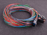 MaxxECU V1/RACE/PRO flying lead wiring harness connector 1