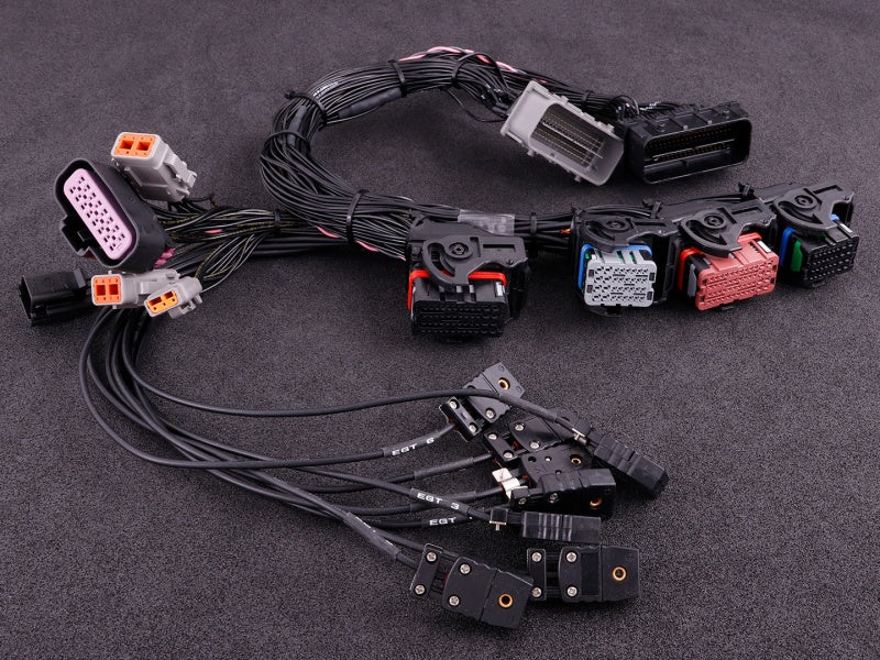 MaxxECU PRO adapter harness Corvette C6 (E38 ECM)