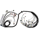 FT450/FT550 6 Cylinder Universal A Harness