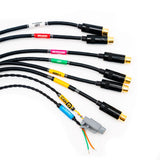 FuelTech FT700 and FT700PLUS ECU Multimedia Wiring Harness