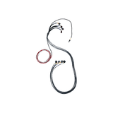 FuelTech Wiring Harness for up to 4 WB-O2 Nano Wideband O2 Sensor Controllers
