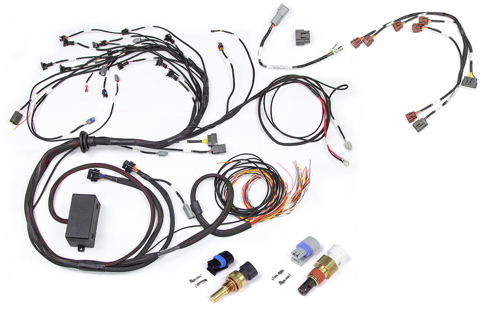 RB Twin CAM Main Harness, CAS Breakout, Early Ignition