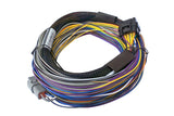 Elite 550 + Basic Universal Wire-in Harness Kit  2.5m (8’)