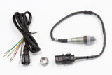 Elite PRO Direct Plug-in Ford Falcon i6 "Barra" Wideband Kit