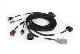 Nexus Plug-in DBW Expansion Harness 2.5m (8')