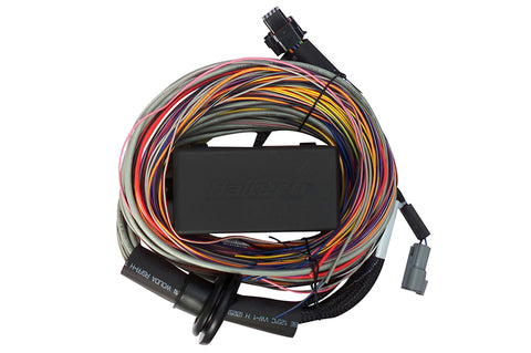 Elite 550 Premium Universal Wire-in Harness 2.5m (8’)