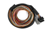IO16 Universal Wire in harness 2.6M (8.5')