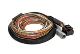IO16 Universal Wire in harness 2.6M (8.5')
