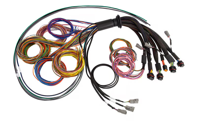 Nexus R5 Universal Wire-In harness- 5M (16')
