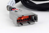 Nexus V8 GT150 (USCAR) Injector Primary Breakout