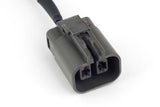 Nexus Rebel LS 2 Pin Yazaki Alternator Harness