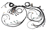 Nexus R5 LSx DBW Terminated Harness
