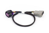 Nexus Rebel LS - 8-pin DBW adaptor