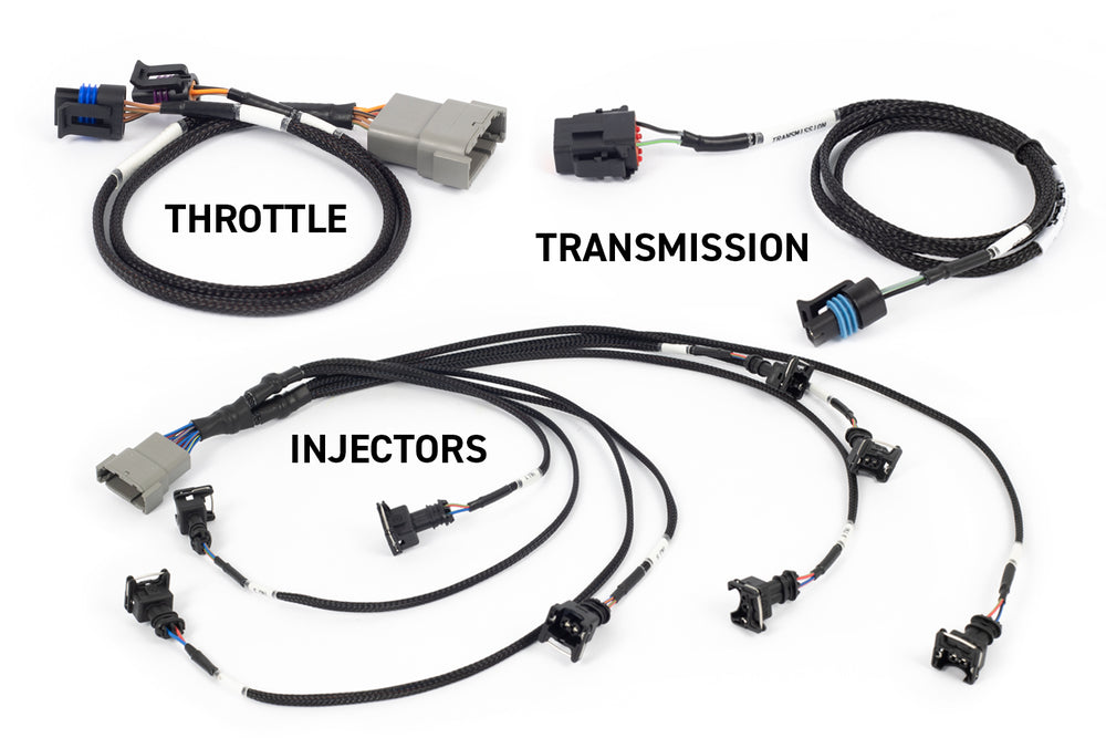Rebel LS Kit - Suits Gen III - Cable throttle, EV1, Manual Transmission