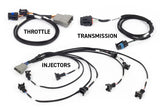 Rebel LS Kit - Suits Gen III - Cable throttle, EV1, Manual Transmission