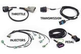 Rebel LS Kit - Suits Gen IV - 6-pin DBW, EV6 Injectors , Manual Transmission
