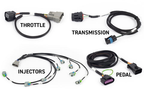 Rebel LS Kit - Suits Gen IV - 6-pin DBW, EV6 Injectors , Manual Transmission