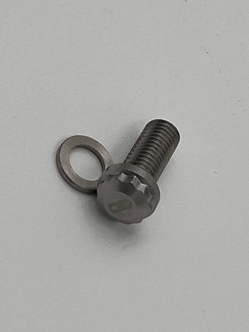 Almanzar Motorsports M8x1.25 x 20mm stainless steel bolts