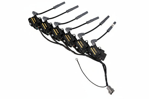 Titan Motorsports IGN-1A / IGN1A Coil Kit for 2JZ Conversion Quick Release System Non VVTI and VVTI