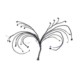 PRO550 GEN II V8 Complete Harness