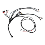Pro600 Wiring Harness for FT600 ECU on V8 Engines