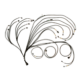 Complete Wiring Harness for FT600 ECU Engine Management System Designed for Racing
