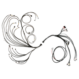 FuelTech Pro600 Wiring Harness for FT600 ECU
