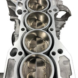 DC N/A K20 Street Performance Short Block k-series