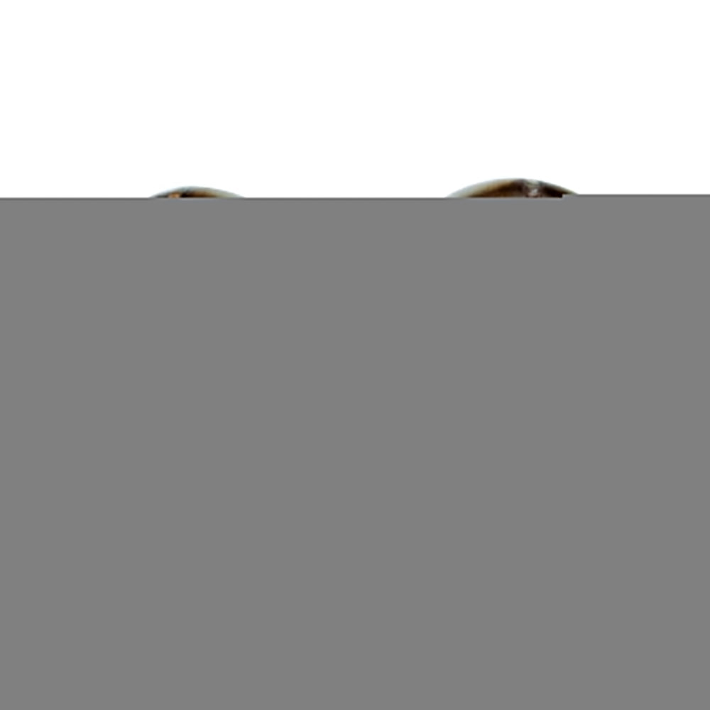 SpeedFactory Racing A/C Compatible Ram Horn Turbo Manifold