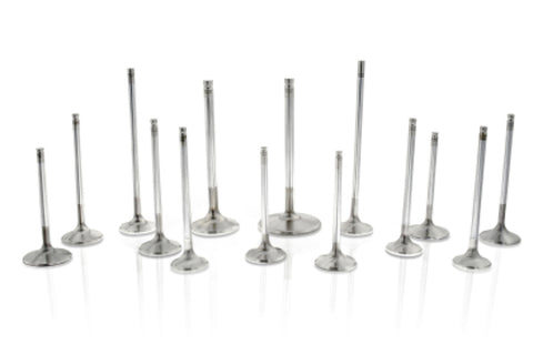 Ferrea Toyota G16E-GTS 32.8mm Head 5.47mm Stem Dia Competition Plus Intake Valve - Set of 6