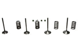 Wiseco 02-06 CRF450R Steel Valve Set