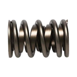 Manley Valve Spring, SPRING-1.530 DOUBLE