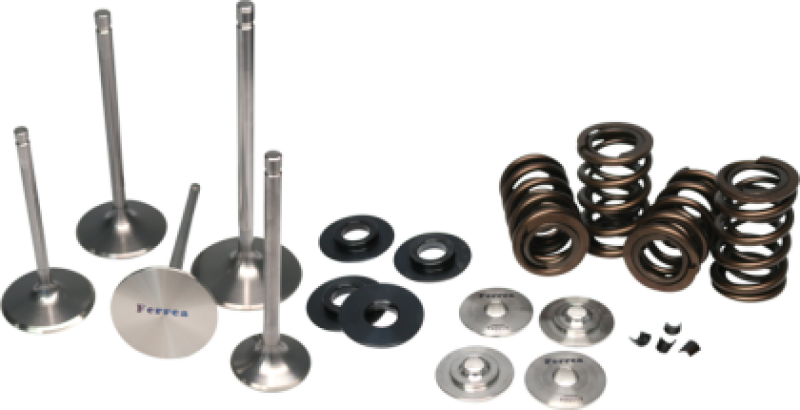 Ferrea 04-08 Arctic Cat DVX 400 Single Valve Spring Kit