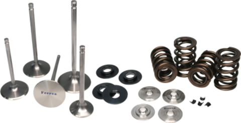 Ferrea 04-05 Honda TRX 450 Single Valve Spring Kit