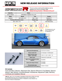 HKS Hipermax R BNR34 Full Kit