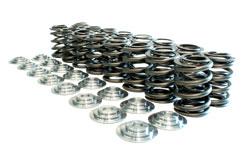 Manley 90-99 Mitsubishi 4G63-4G63T DSM DOHC 16 Valve Spring and Retainer Kit (w/o Valve Locks) (16 e