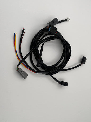 Almanzar Motorsports 4 cylinder coil harness.
