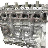 DC N/A K20 Street Performance Long Block intake view