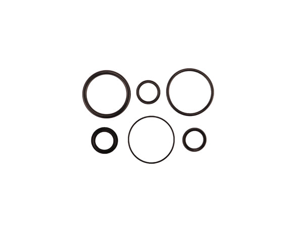 Radflo Seal Kit 2.5 7/8" IFP