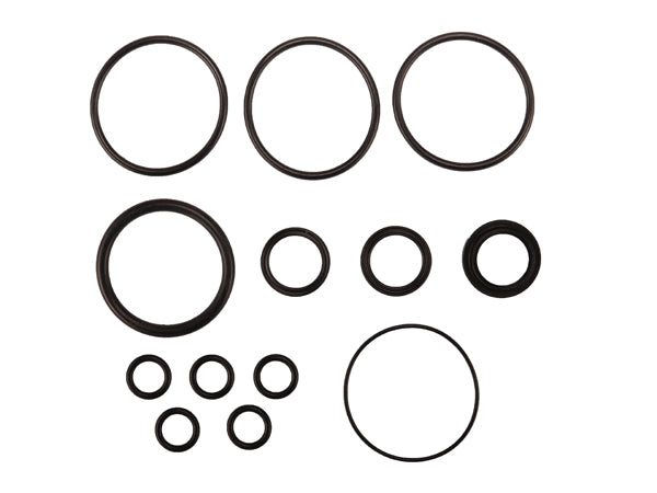 Radflo Seal Kit 2.5 7/8" With Remote And Bypass Include Piston O Ring 5/8" OD Tubes