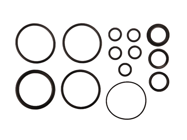 Radflo Seal Kit 2.5 7/8" With Remote And Bypass Includes Piston O Ring 3/4" OD Tubes