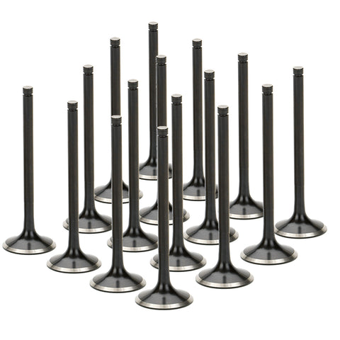 Set of 16 Stainless Steel Black Nitride Exhaust Valves  for a Toyota / 3UR-FE V8 - Oversize +1mm | Supertech Performance Engine Valves